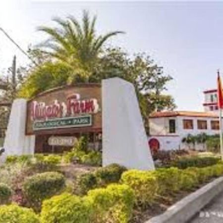 Beach Side Complex B23 1 Bed 1 Bath W/Heated Pool St. Augustine Esterno foto
